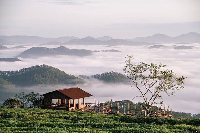 Ai sắp vi vu Đà Lạt chú ý: Cầu gỗ "săn mây" chính thức ngừng hoạt động ảnh 2