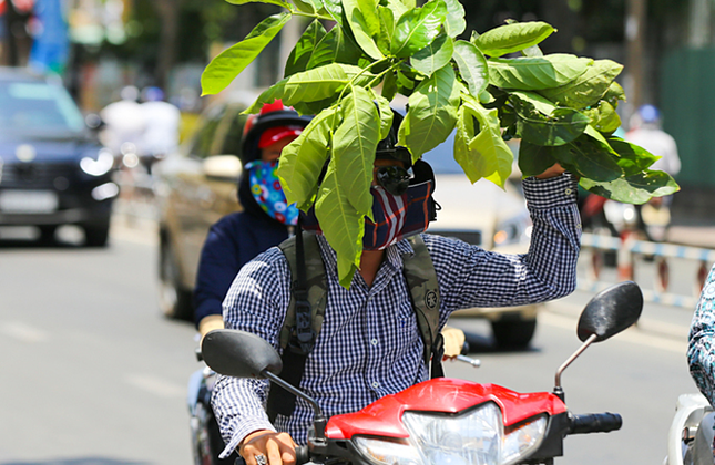 Tia cực tím tại Sài Gòn đang ở mức "cực kỳ nguy hại cho da" ảnh 1