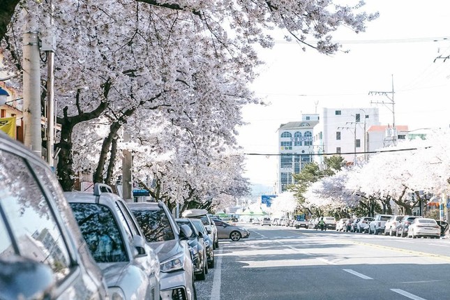 HOT: Đại sứ quán Hàn Quốc sẽ mở thêm trung tâm cấp visa tại Hà Nội và TP.HCM ảnh 1
