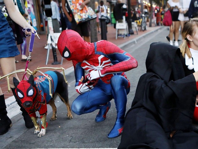 Chó biến thành siêu nhân, người nhện trong lễ hội cosplay ở Mỹ ảnh 7