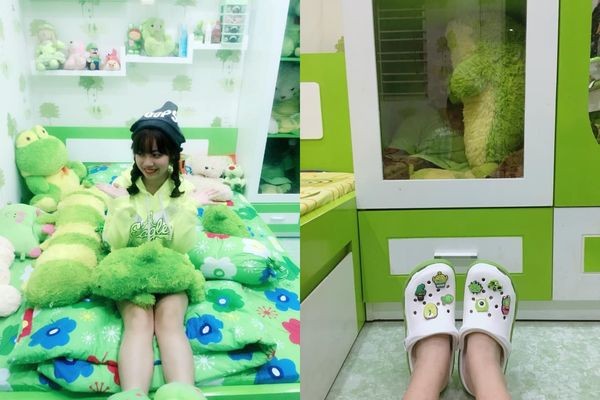 Nữ sinh Y Dược cuồng màu xanh lá, từ giường, bàn học cho đến băng đô cài đầu… ảnh 1
