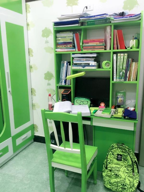 Nữ sinh Y Dược cuồng màu xanh lá, từ giường, bàn học cho đến băng đô cài đầu… ảnh 3