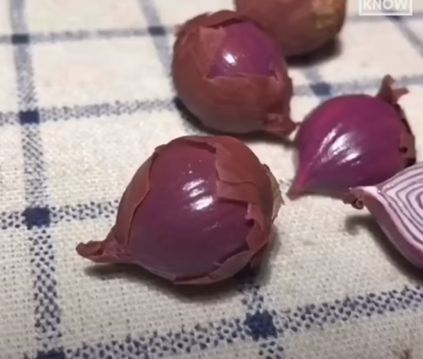 Trời ơi tin được không? Cả một nông trại rau củ... mini! ảnh 2