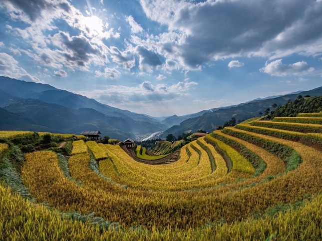 Đồi Móng Ngựa, điểm chụp lúa chín thu hút nhiếp ảnh gia ở Mù Cang Chải ảnh 1