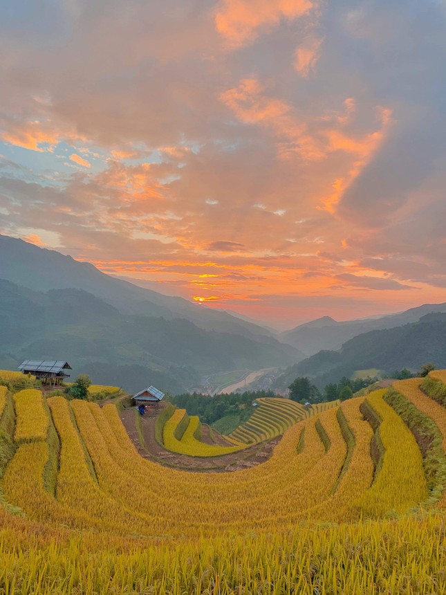 Đồi Móng Ngựa, điểm chụp lúa chín thu hút nhiếp ảnh gia ở Mù Cang Chải ảnh 7