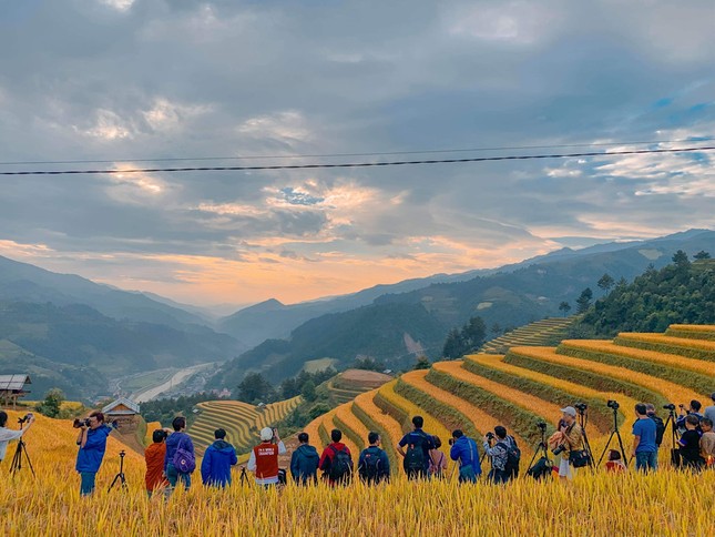 Đồi Móng Ngựa, điểm chụp lúa chín thu hút nhiếp ảnh gia ở Mù Cang Chải ảnh 9