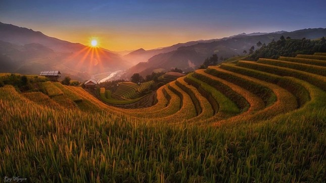 Đồi Móng Ngựa, điểm chụp lúa chín thu hút nhiếp ảnh gia ở Mù Cang Chải ảnh 10