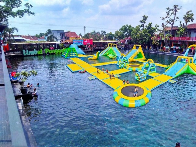 Biến ao nước ô nhiễm thành ngôi sao mạng xã hội ở Indonesia ảnh 8