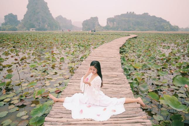 Sen nở giữa mùa Đông, hoa cúc, hoa lau đẹp mê hồn ở Ninh Bình ảnh 1