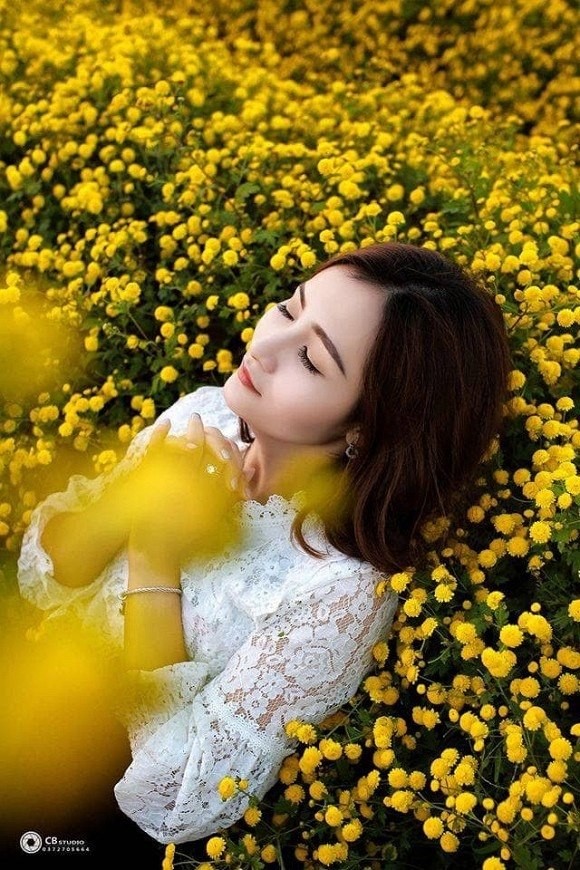 Sen nở giữa mùa Đông, hoa cúc, hoa lau đẹp mê hồn ở Ninh Bình ảnh 6