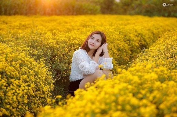 Sen nở giữa mùa Đông, hoa cúc, hoa lau đẹp mê hồn ở Ninh Bình ảnh 5