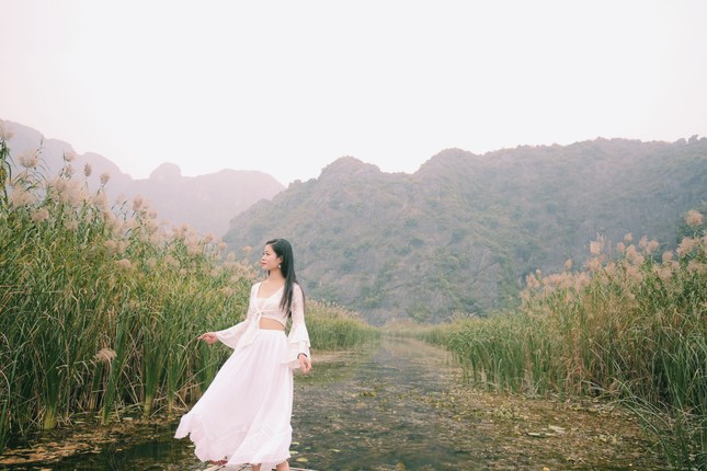 Sen nở giữa mùa Đông, hoa cúc, hoa lau đẹp mê hồn ở Ninh Bình ảnh 3