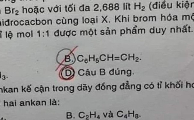 Đề kiểm tra với đáp án độc lạ có 1-0-2 khiến teen "khóc thét": Chọn câu nào bây giờ? ảnh 1