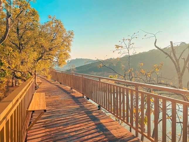 Xác định tọa độ "con đường ngôn tình" đẹp mộng mơ, được ví như "Little Korea" ở Đà Lạt ảnh 1