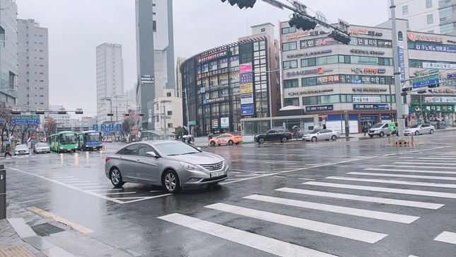 Du học sinh Việt tại Hàn gặp thế khó, ở lại sợ dịch, về sợ vướng nợ nần ảnh 1