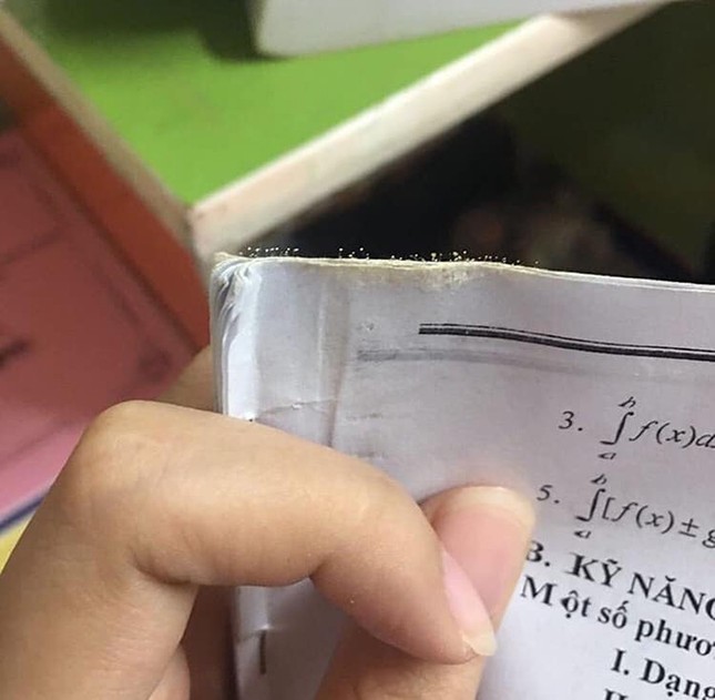 Teen "báo cáo" tình trạng sách vở sau đợt nghỉ dịch: Nấm mốc mọc đầy, côn trùng thi nhau đẻ trứng ảnh 1