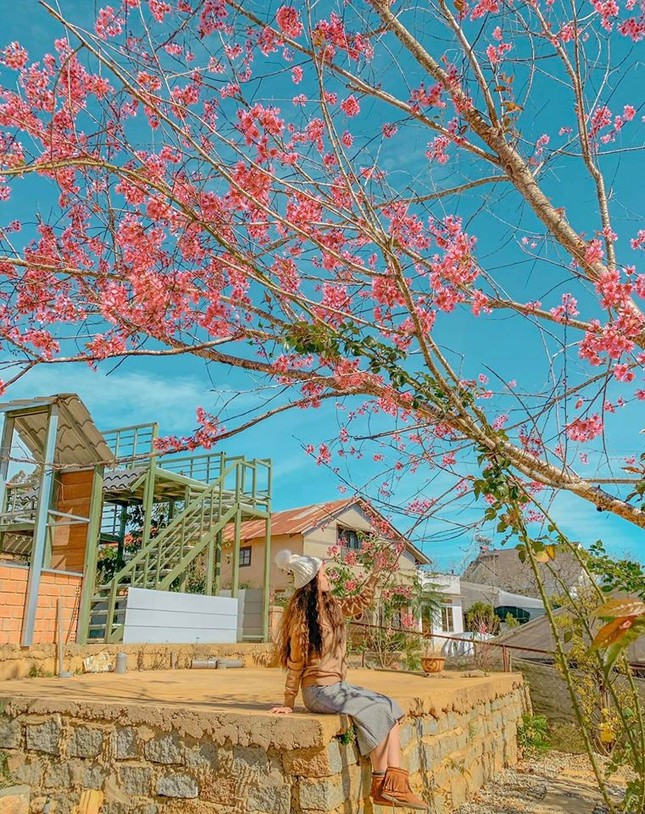 Giới trẻ rủ nhau check-in thị trấn Nobi xinh xắn nằm giữa lòng Đà Lạt ảnh 12
