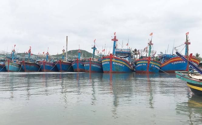 Vào bờ tránh bão, ngư dân Bãi Ngang vẫn có khoang thuyền đầy ắp cá - ảnh 1