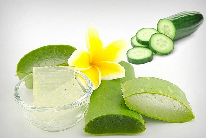 8 loại trà thảo mộc giúp kiểm soát bệnh tiểu đường - ảnh 1