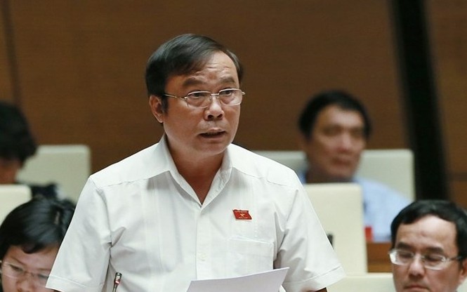 Thanh tra bán đảo Sơn Trà, Đa Phước: Ai cam đoan không có chạy chọt? - ảnh 1