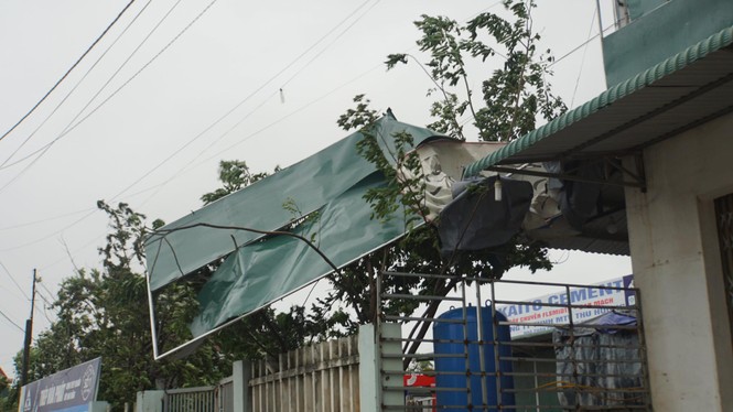 Bão số 9 đổ bộ Quảng Nam - Quảng Ngãi, giật cấp 13 - ảnh 20