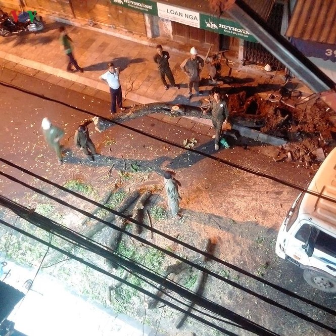 Vụ cây sưa bị chặt hạ: Người dân lo cho số phận cây sưa lớn còn lại - ảnh 2