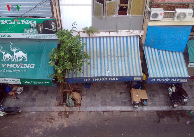 Vụ cây sưa bị chặt hạ: Người dân lo cho số phận cây sưa lớn còn lại - ảnh 3