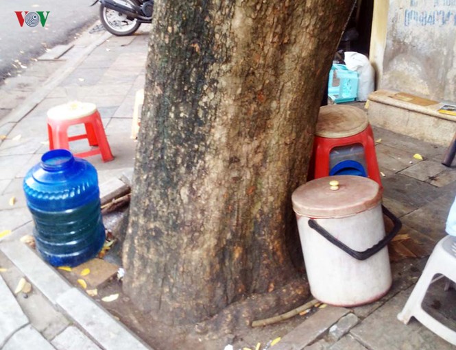 Vụ cây sưa bị chặt hạ: Người dân lo cho số phận cây sưa lớn còn lại - ảnh 5