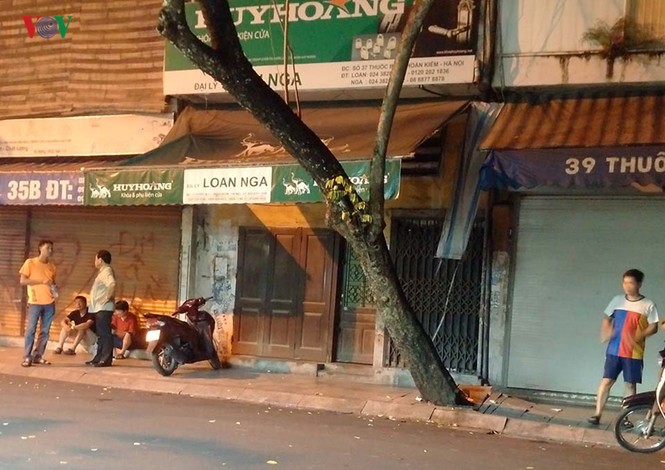 Vụ cây sưa bị chặt hạ: Người dân lo cho số phận cây sưa lớn còn lại - ảnh 1
