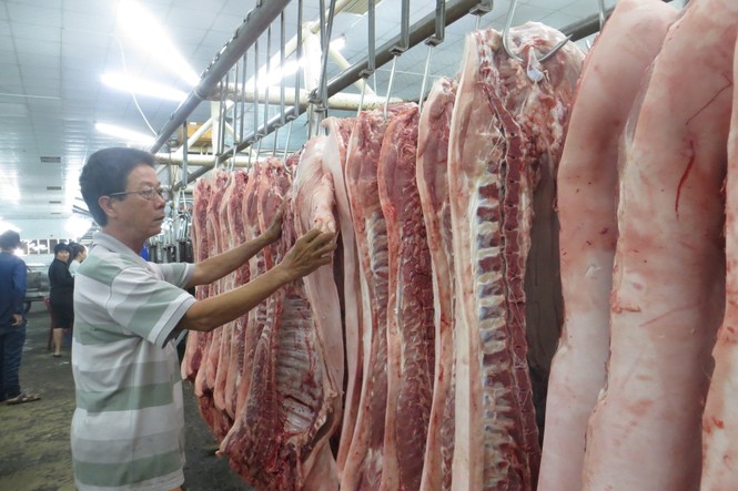 Giá lợn hơi tăng phi mã, hơn 10.000 đồng/kg - ảnh 1