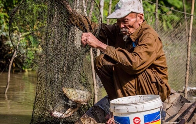 Đaị tá phi công huyền thoại Nguyễn Văn Bảy đã qua đời - ảnh 2