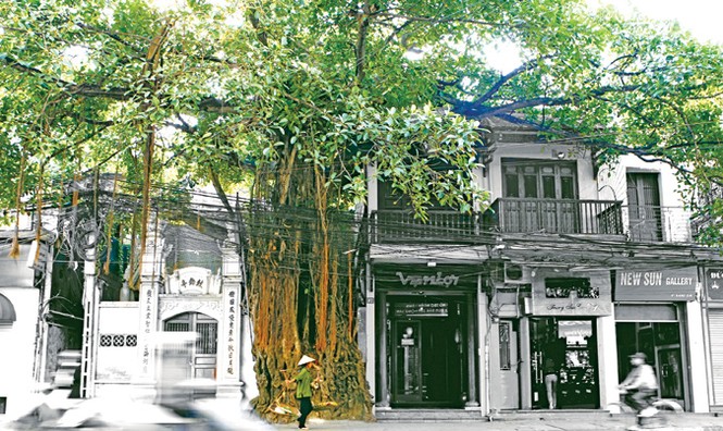 Người giàu có sang không? - ảnh 2