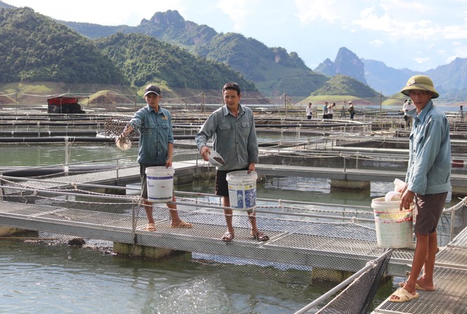 Không còn đói, nghèo mới là lãnh đạo đúng - ảnh 1
