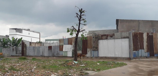 TPHCM kỷ luật nhiều lãnh đạo liên quan xây dựng trái phép ở huyện Bình Chánh - ảnh 1