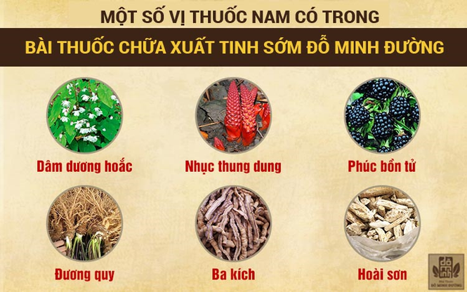 Bài thuốc chữa xuất tinh sớm Đỗ Minh Đường giúp nam giới lấy lại bản lĩnh - ảnh 2