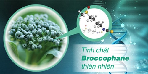 Bệnh đục thủy tinh thể trẻ hóa làm tăng tình trạng mù lòa - ảnh 2