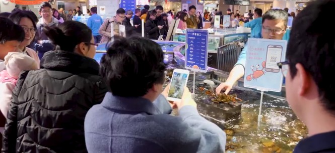 Lễ hội mua sắm toàn cầu 11.11 Alibaba với 'đặc sản' livestream - ảnh 3