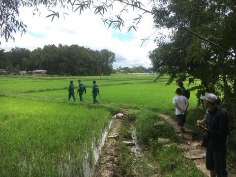Phát hiện thi thể người phụ nữ lõa thể trên ruộng lúa - ảnh 1