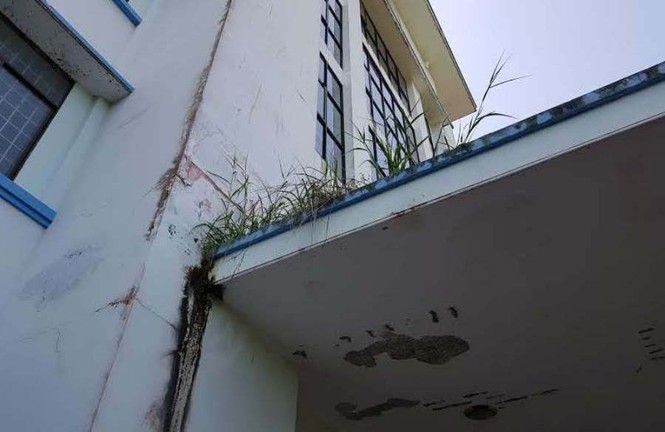 Lãng phí cơ sở trường đại học hàng chục tỷ đồng bỏ hoang nhiều năm - ảnh 6