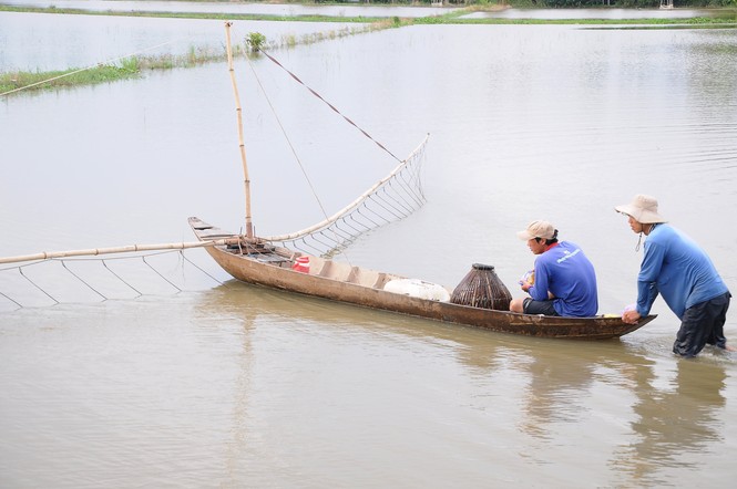Lay lắt mưu sinh mùa nước nổi - ảnh 1