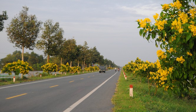 Lay lắt mưu sinh mùa nước nổi - ảnh 19