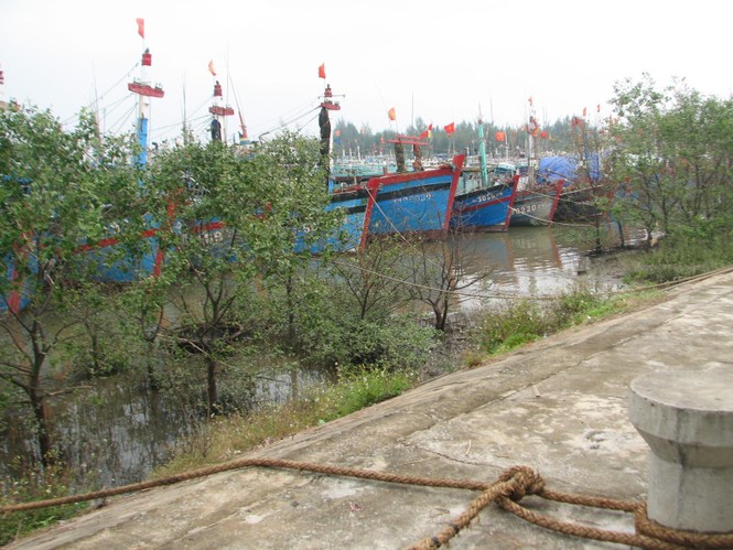Thanh Hóa cấm biển, 3 tàu cá mất liên lạc - ảnh 1