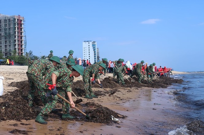 Hơn 1.000 thanh niên xung kích tham gia chiến dịch làm sạch biển - ảnh 1