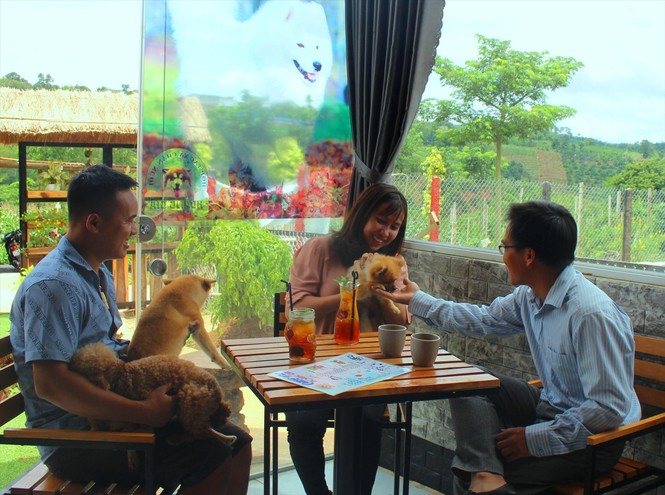 Cà phê thú cưng: Quen mà lạ trên xứ Bazan - ảnh 1