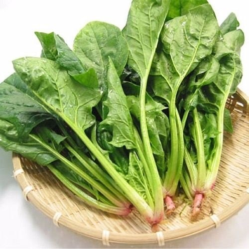 Cải bó xôi: Vừa bổ thận tráng dương, vừa chống ung thư cực tốt - ảnh 2