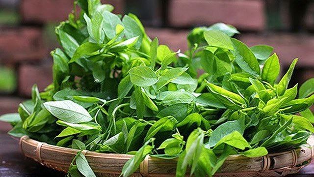Viagar từ rau củ cho chàng và nàng cùng 'lên đỉnh' - ảnh 5