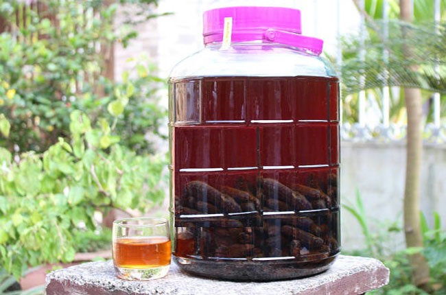 Chuối hột: 'Thần dược' chữa mỡ máu, đái tháo đường, bệnh thận cực kỳ tốt - ảnh 2
