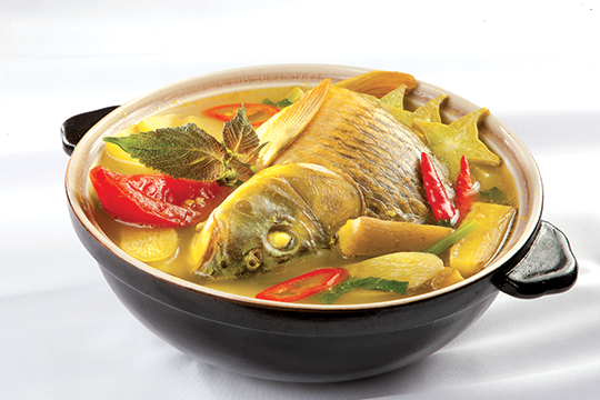 Mắc bệnh này ăn cá chép có thể chết người - ảnh 1