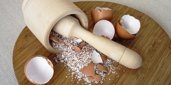 Chữa nhiều bệnh cực tốt từ 'thần dược' vỏ trứng - ảnh 1