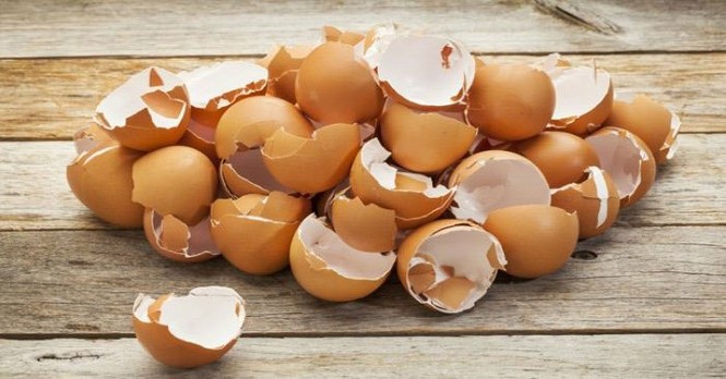Chữa nhiều bệnh cực tốt từ 'thần dược' vỏ trứng - ảnh 2